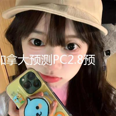 加拿大预测PC2.8预测分析官方版