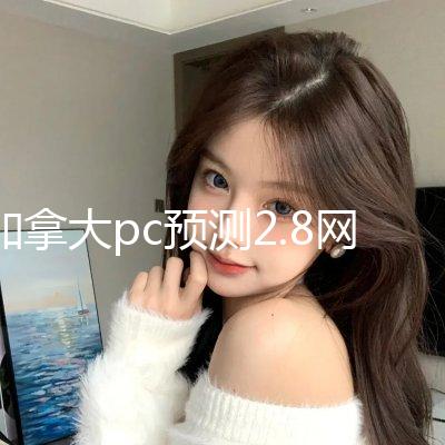 加拿大pc预测2.8网站电脑