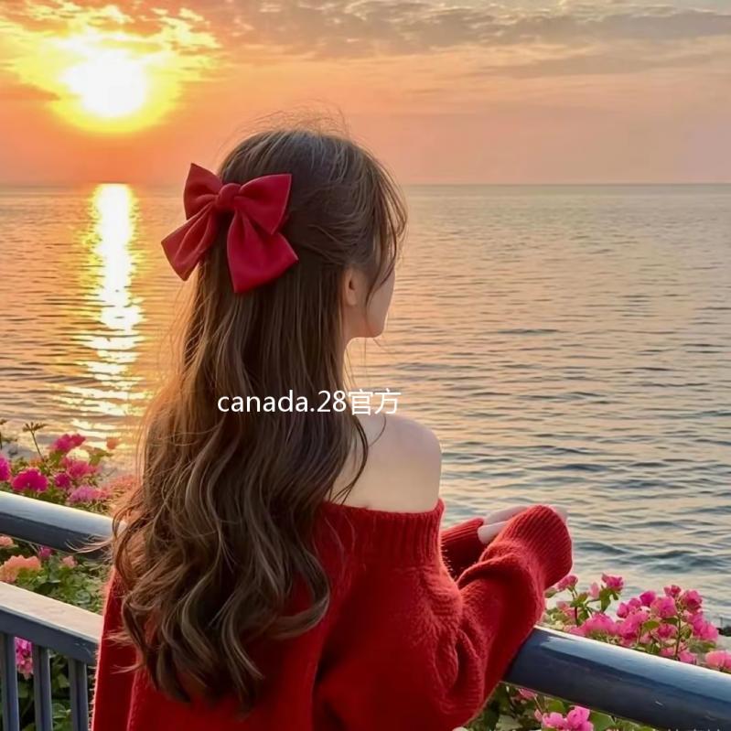 canada.28官方版
