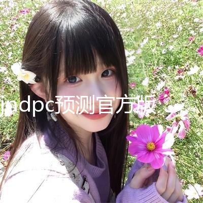 jndpc预测官方版